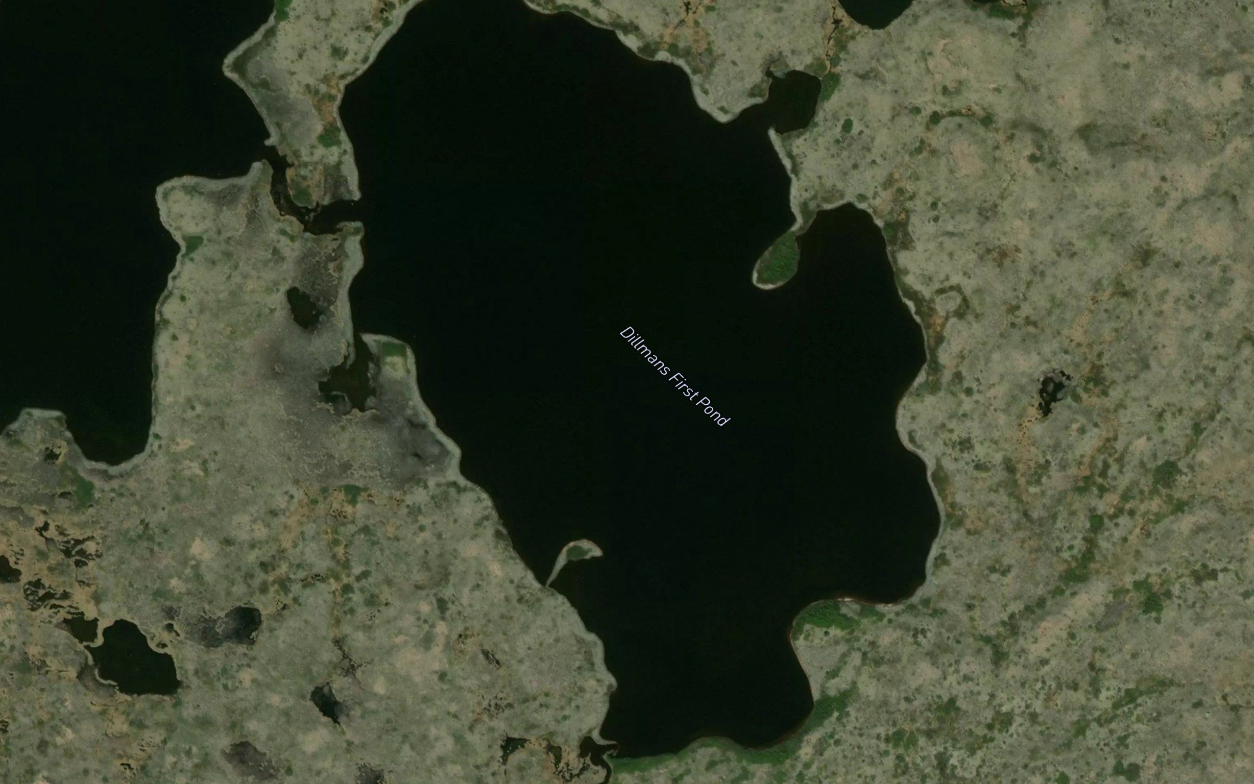 Dillmans First Pond