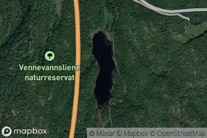 Vennevann