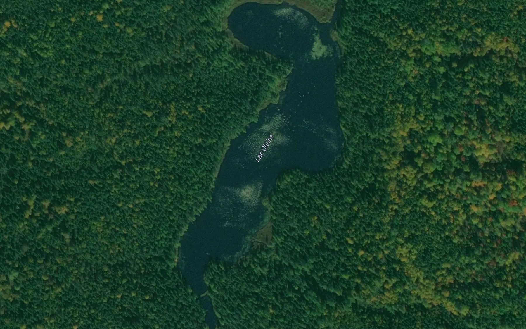 Satellite map of the Lac Oleine