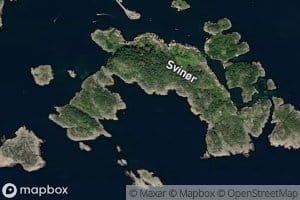 Svinorbukta