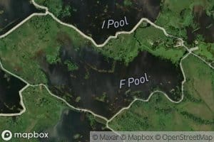 F Pool