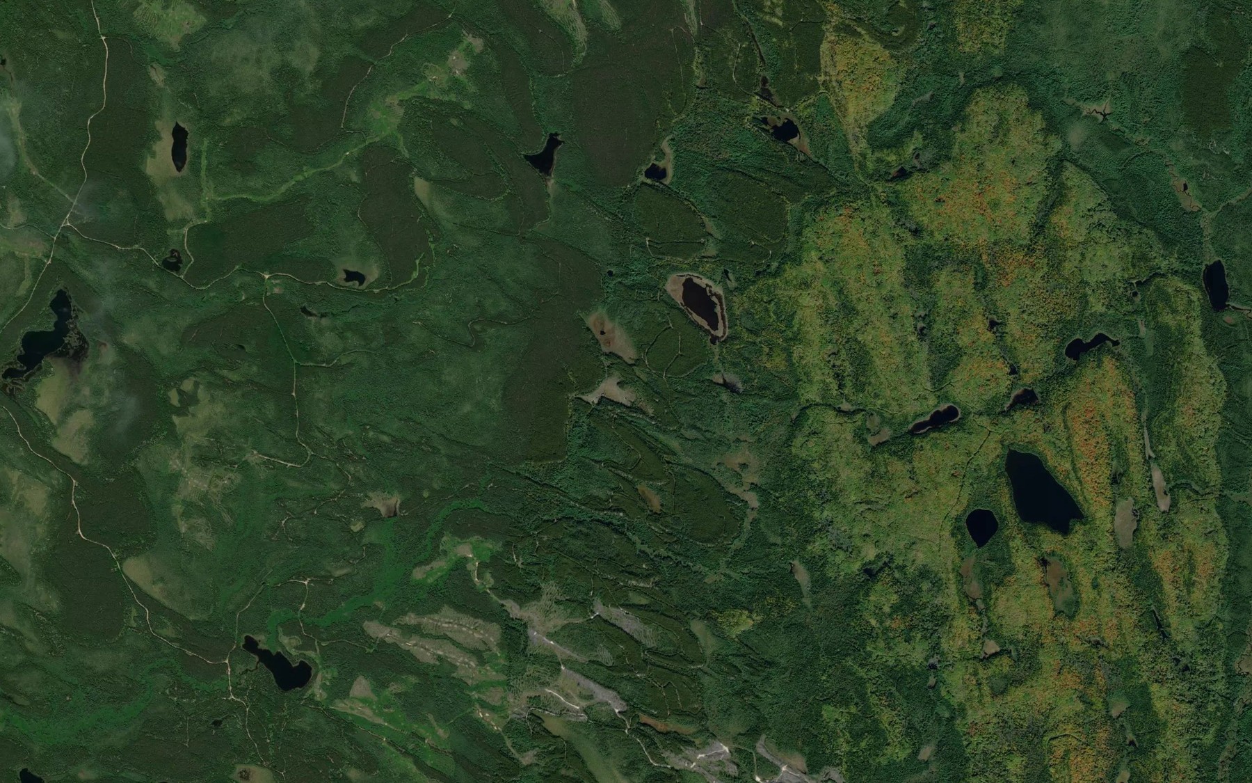 Satellite map of the Wasnick Lake
