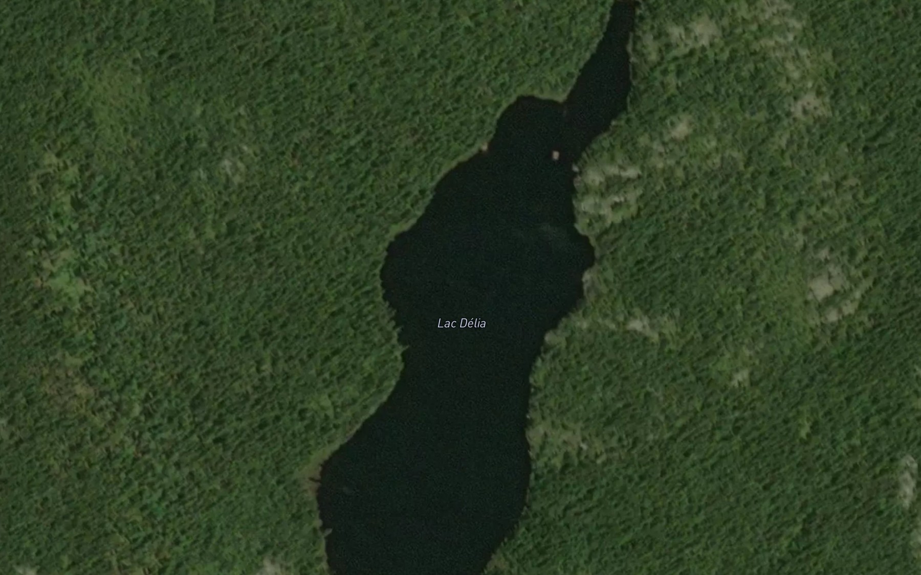 Satellite map of the Lac Delia