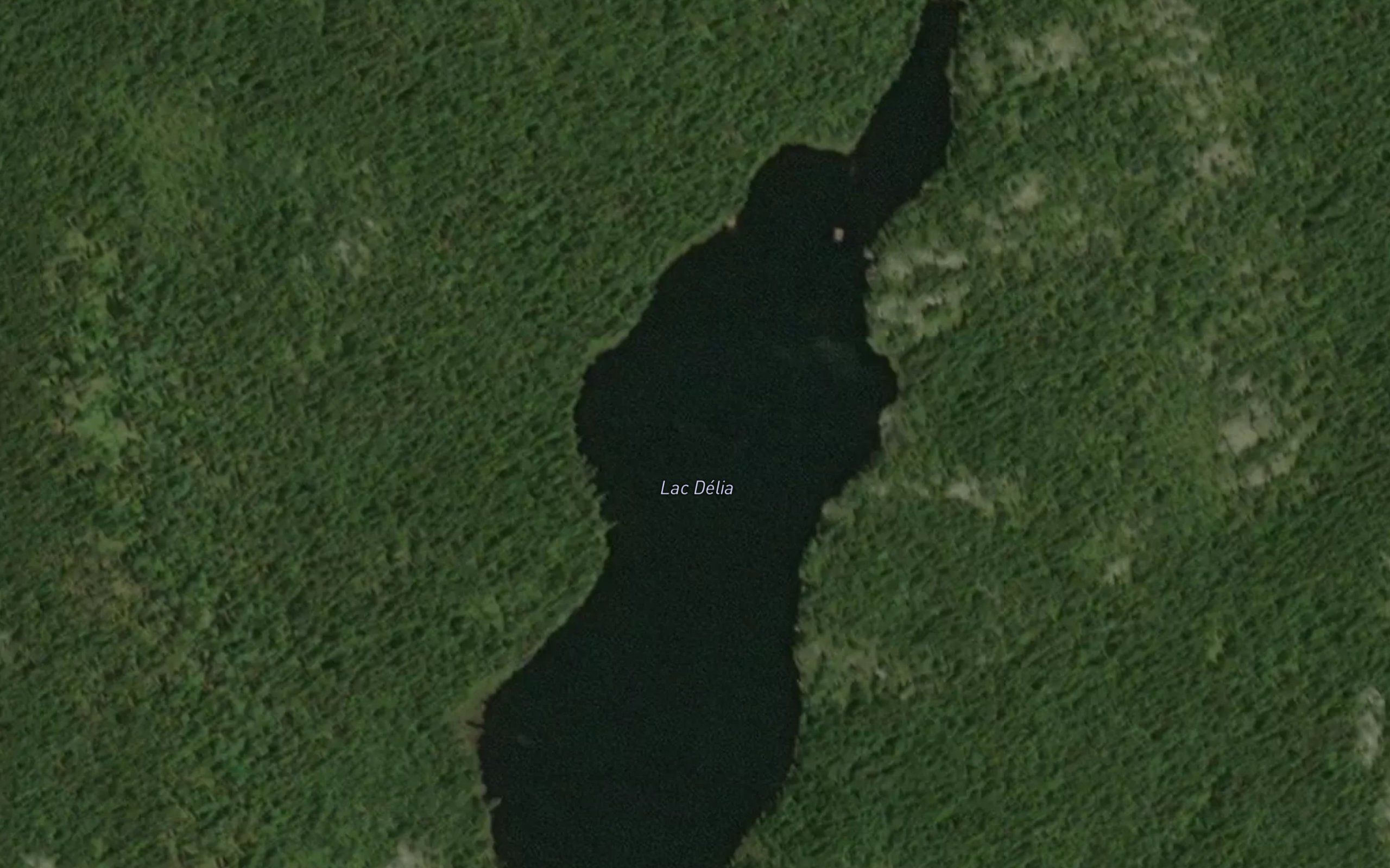 Lac Delia