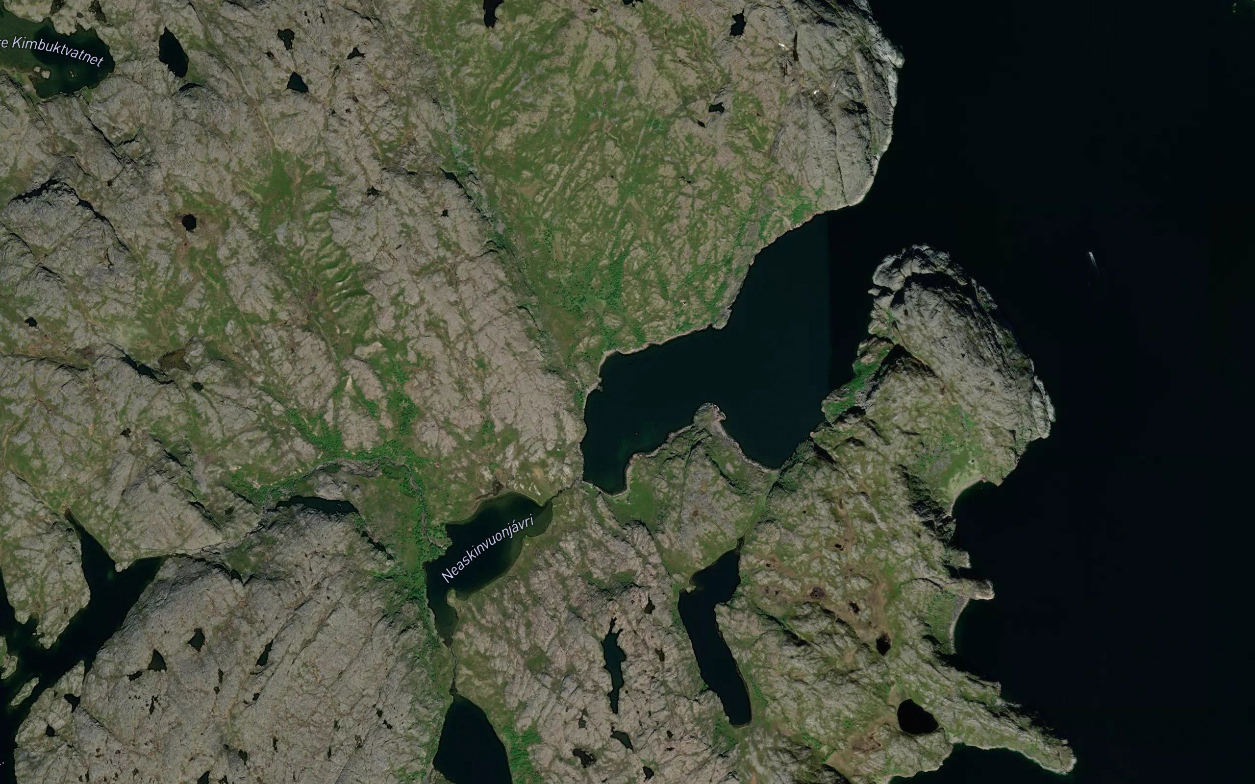 Naeskinvuodna