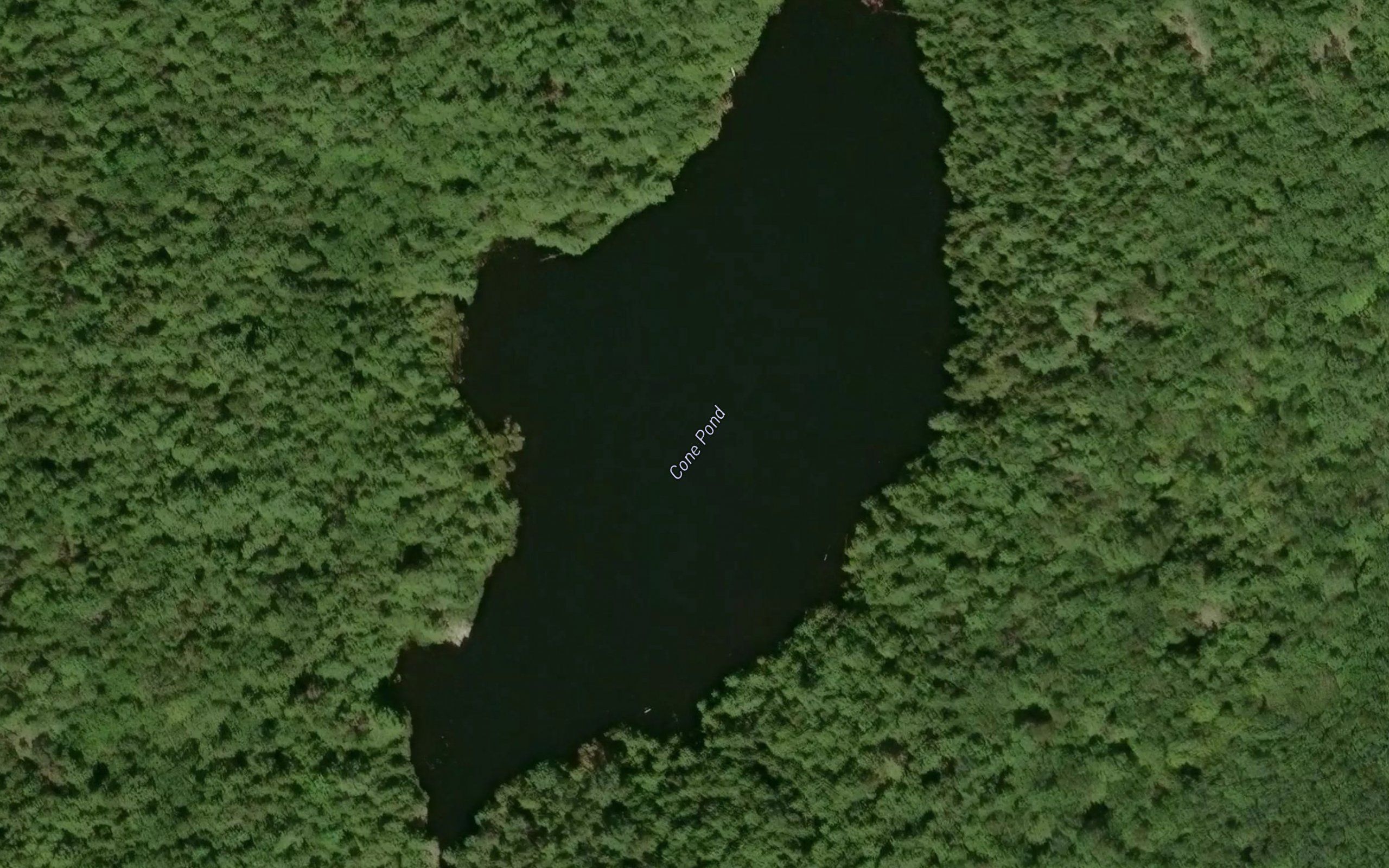 Cone Pond