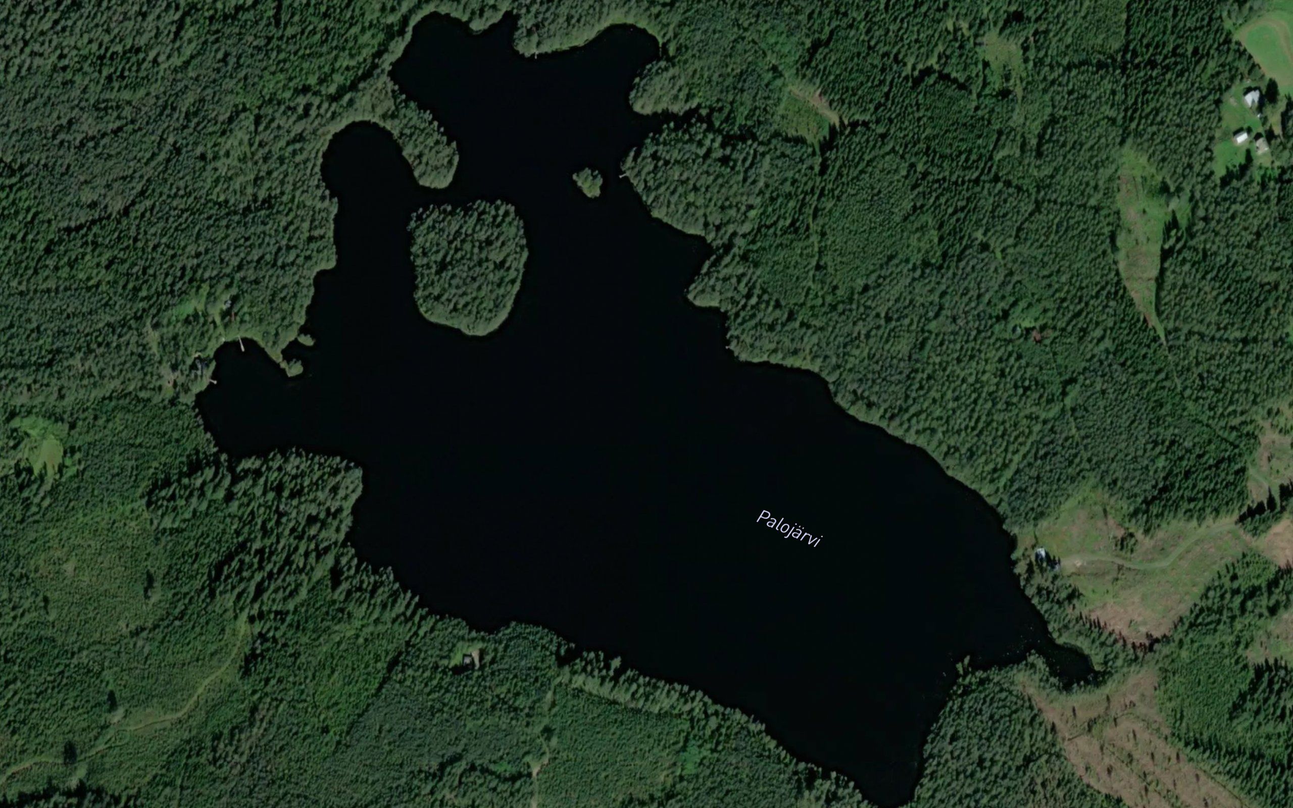 Palojarvi