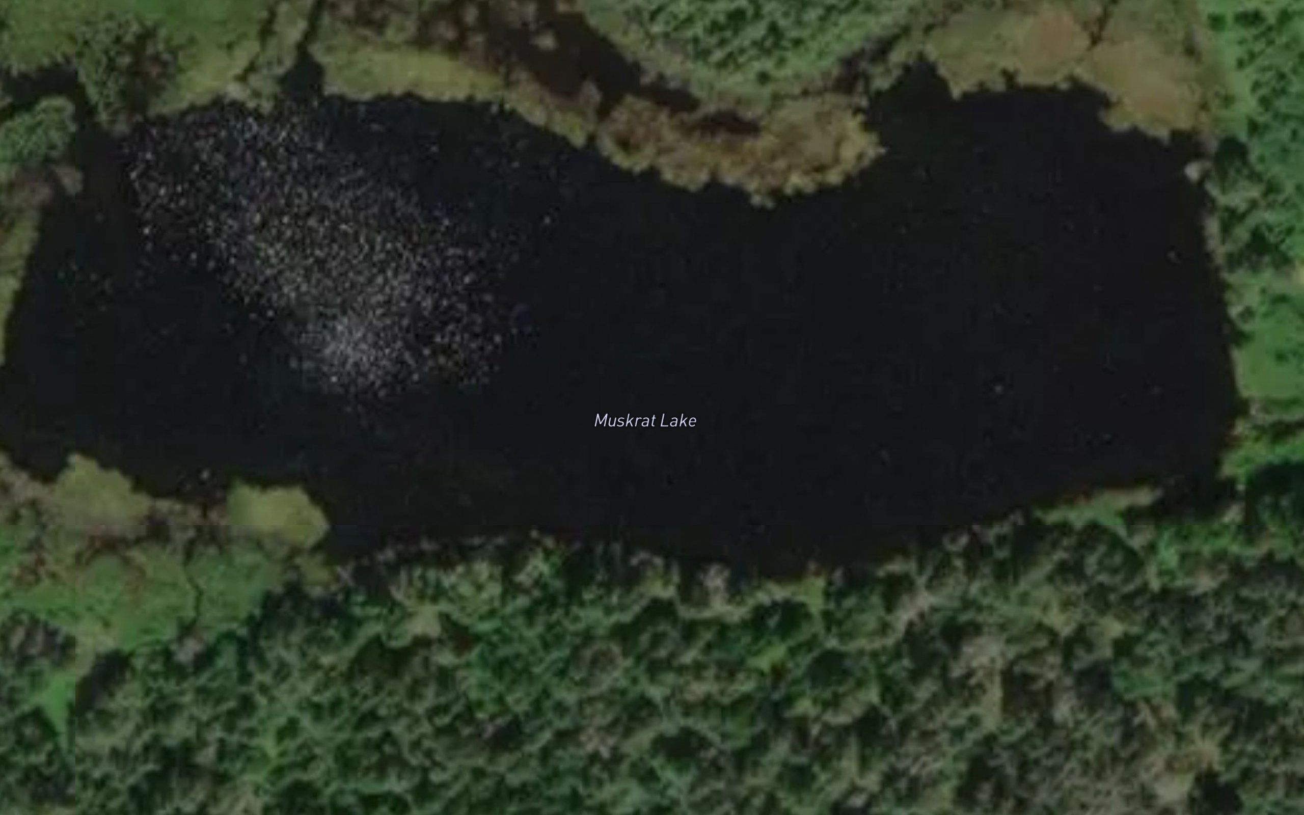 Muskrat Lake