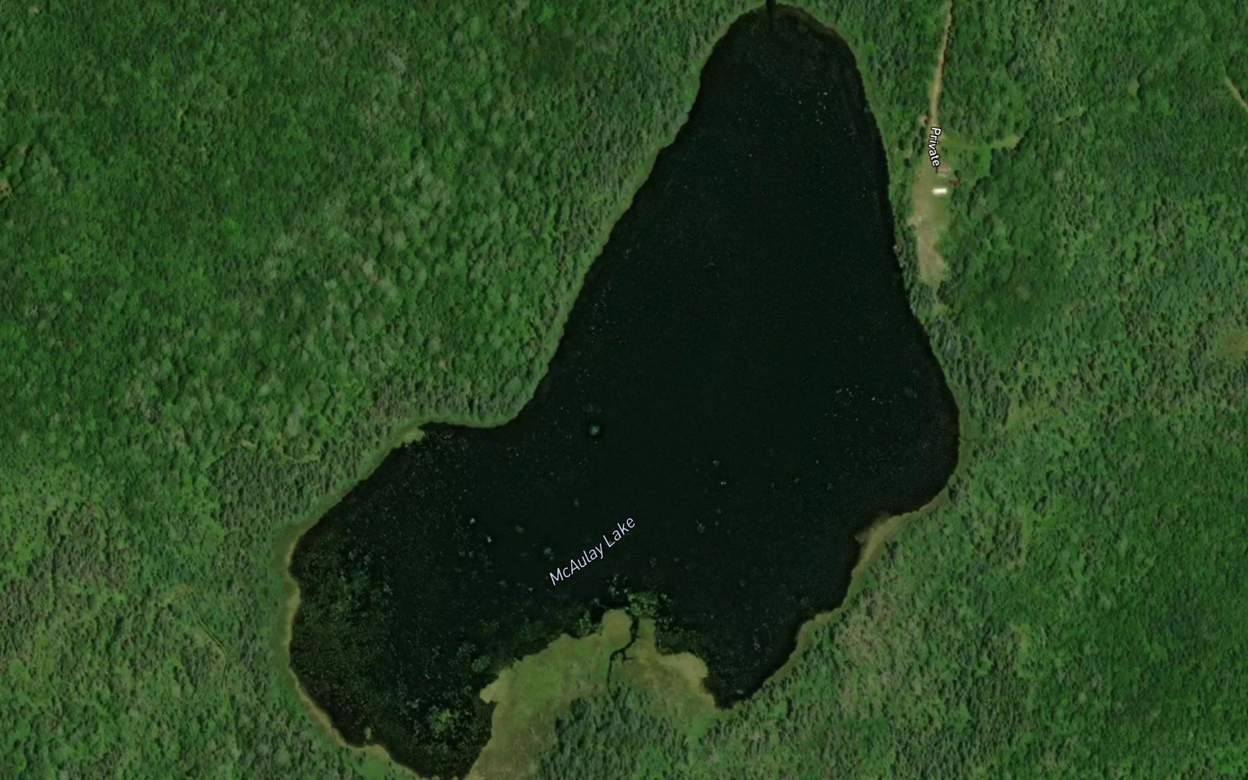 McAulay Lake