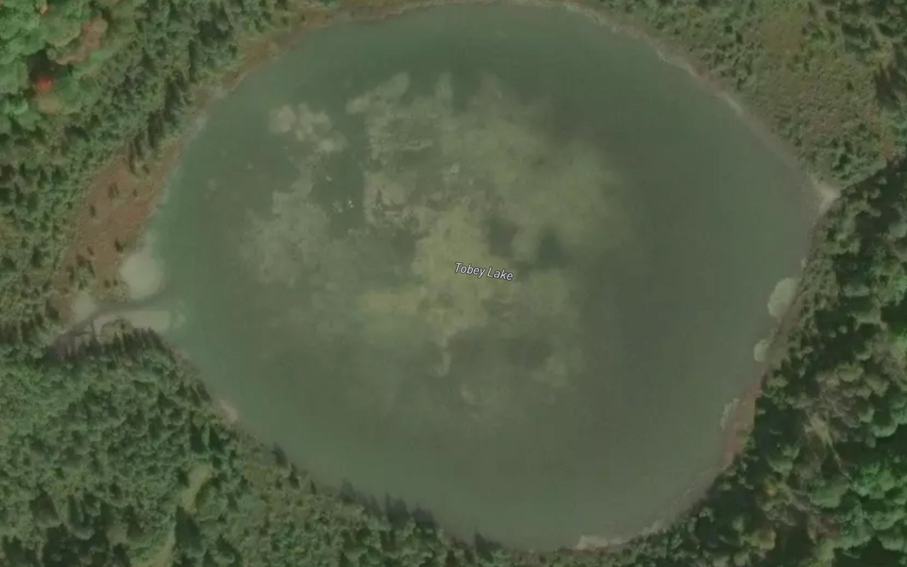 Satellite map of the Tobey Lake