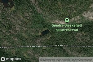 Gjeskedalstjern