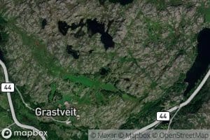 Gulltjorna