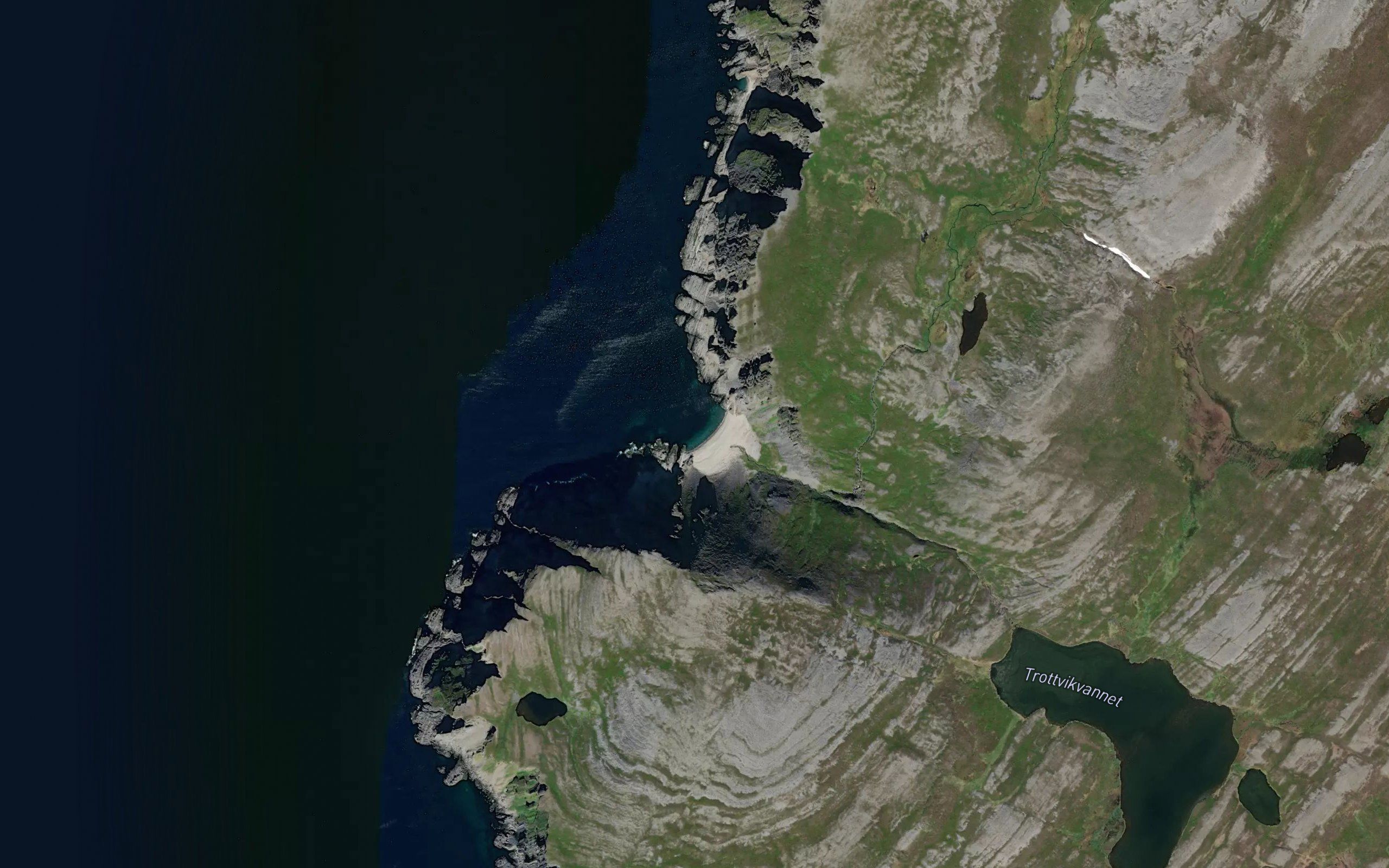 Trotvika
