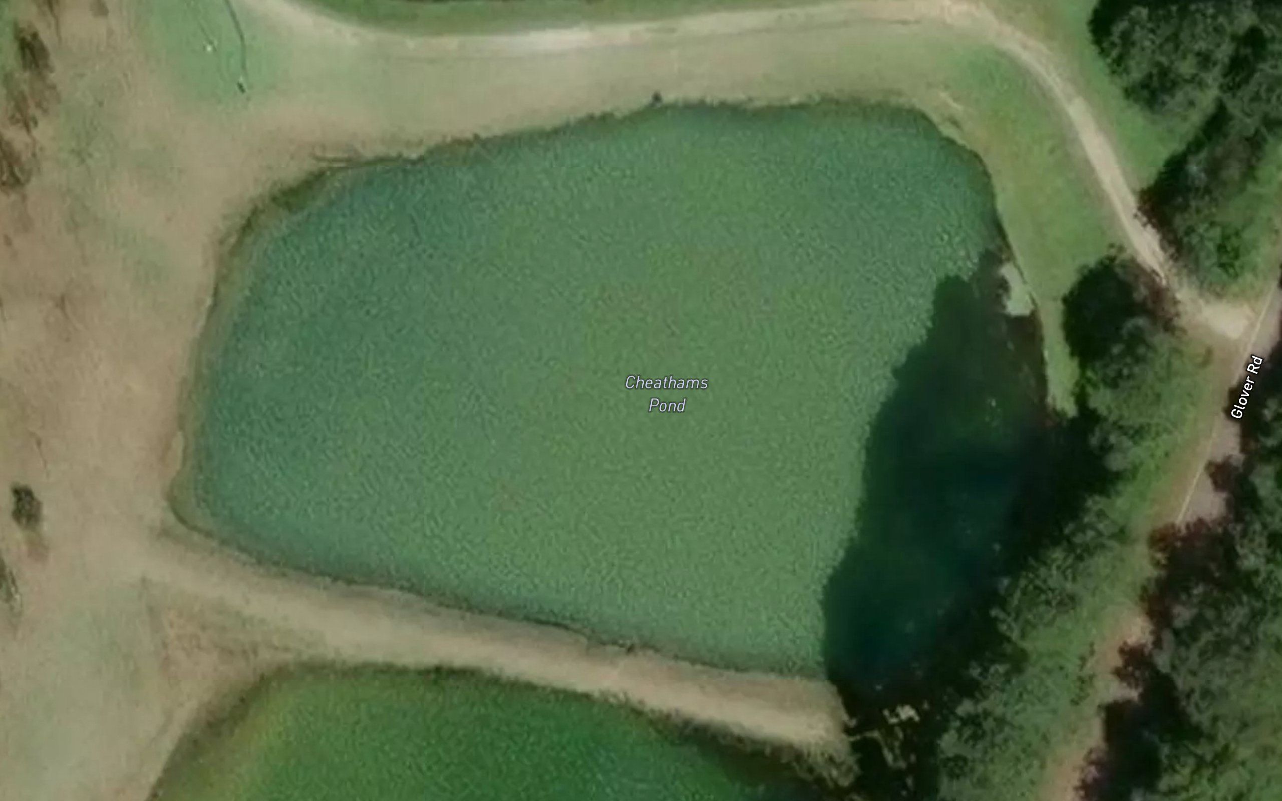 Cheathams Pond