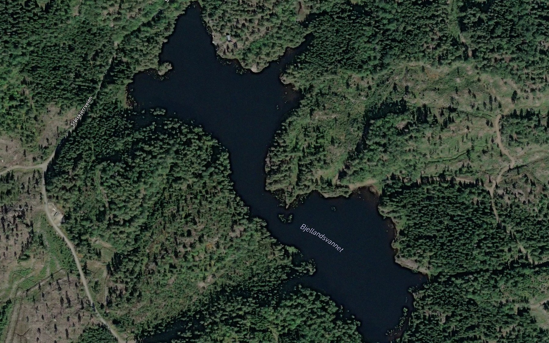 Satellite map of the Bjellandsvann