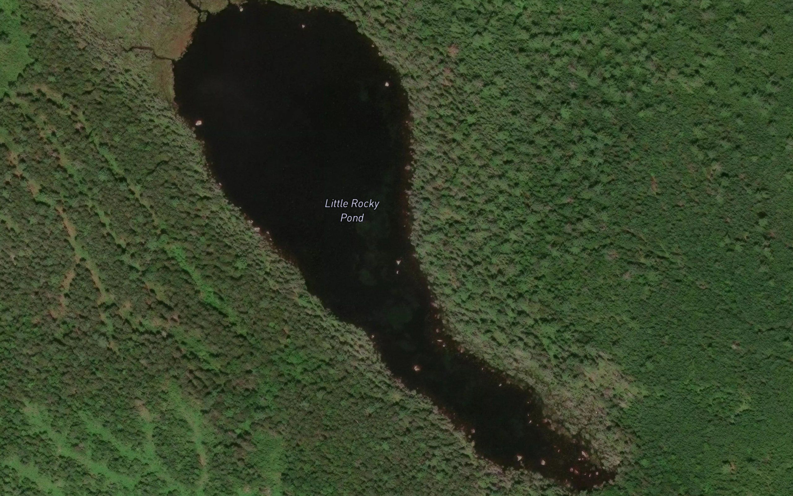 Little Rocky Pond