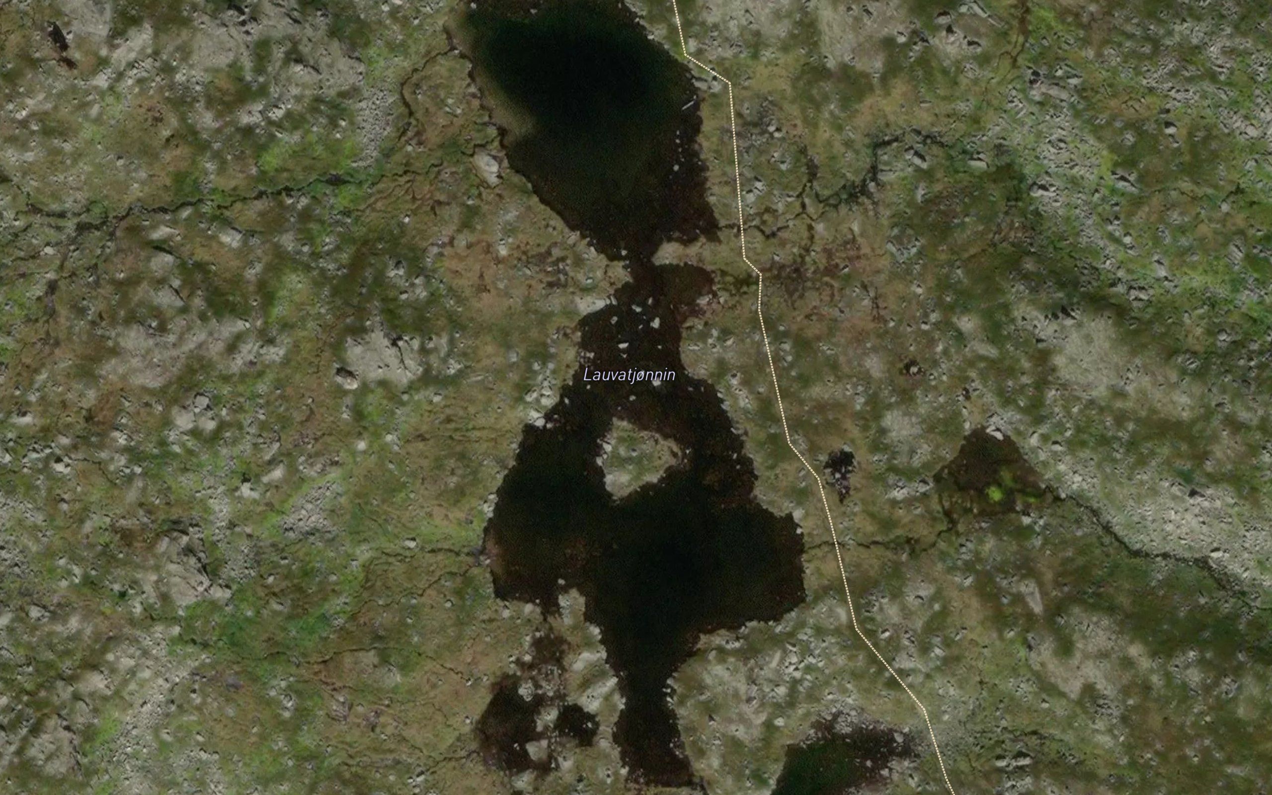 Lauvatjonnin