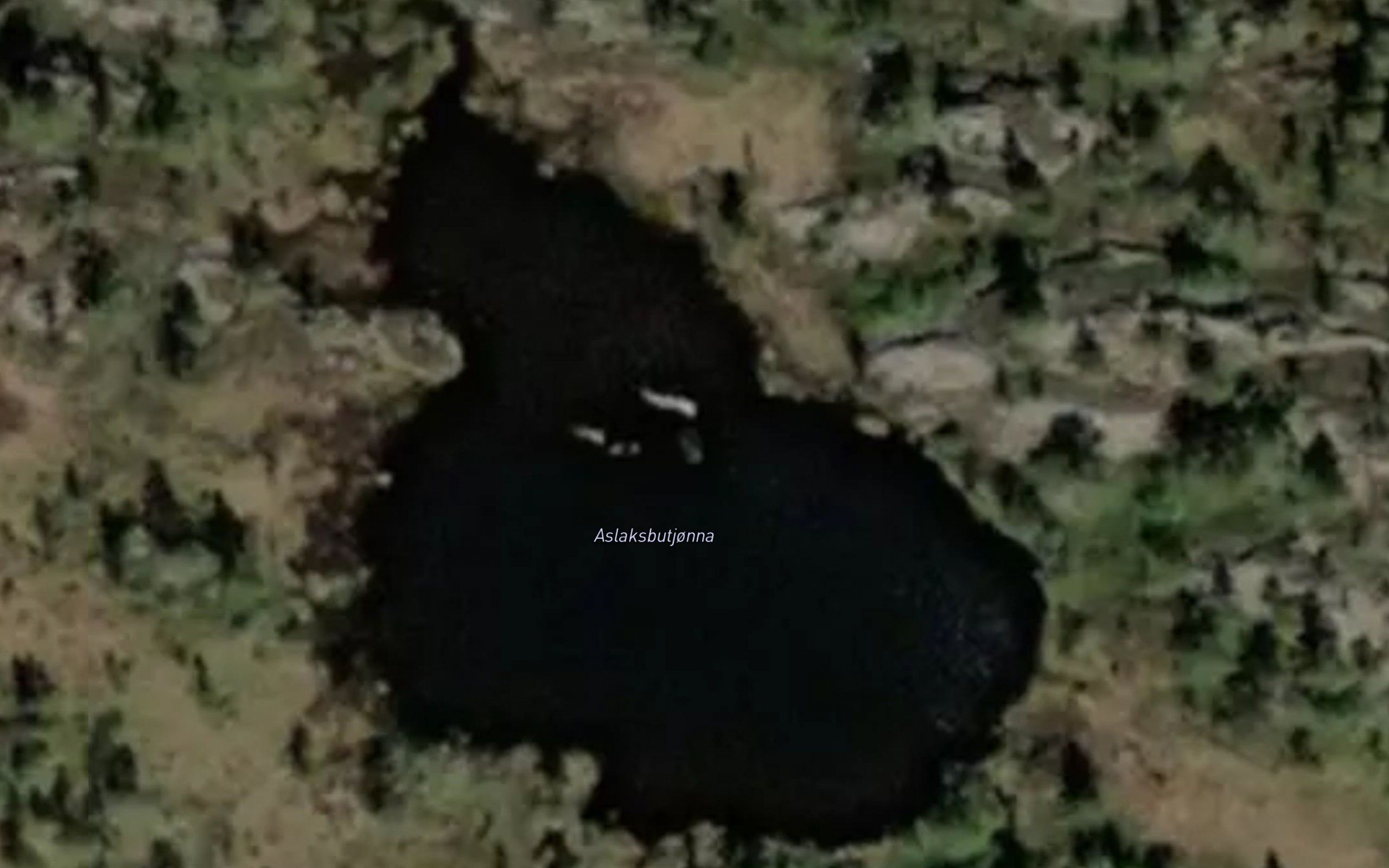 Aslaksbutjonna