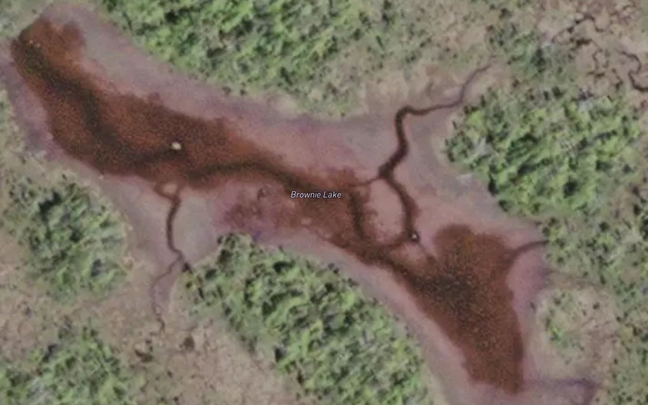 Brownie Lake