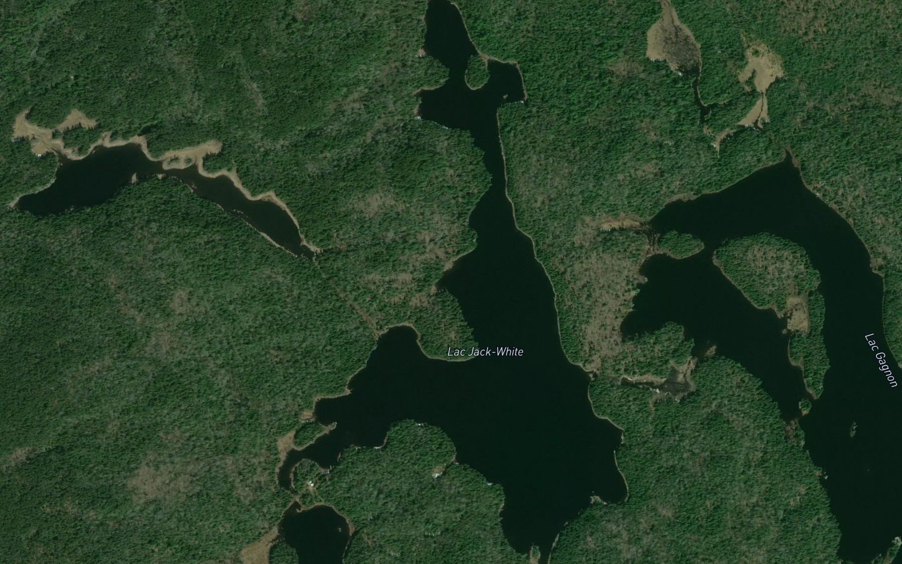 Satellite map of the Lac Jack-White