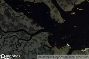 Molasses Creek