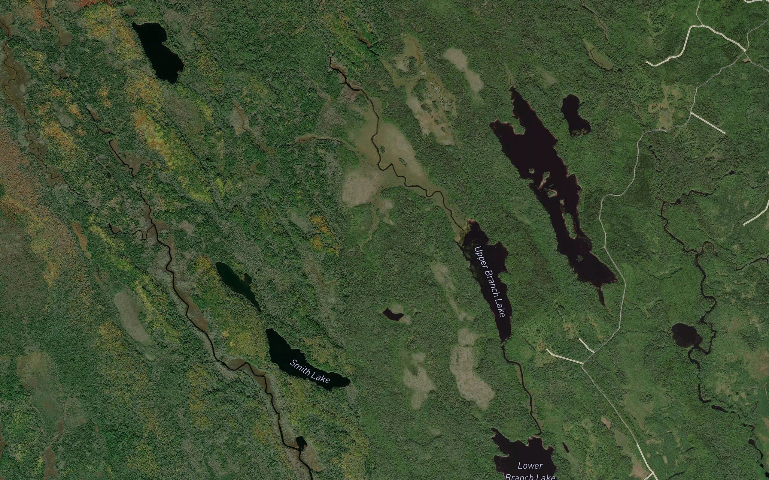 Wallace Lake Brook