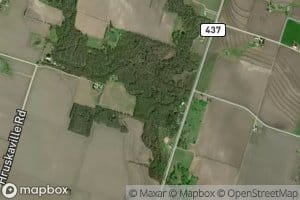 Possum Creek