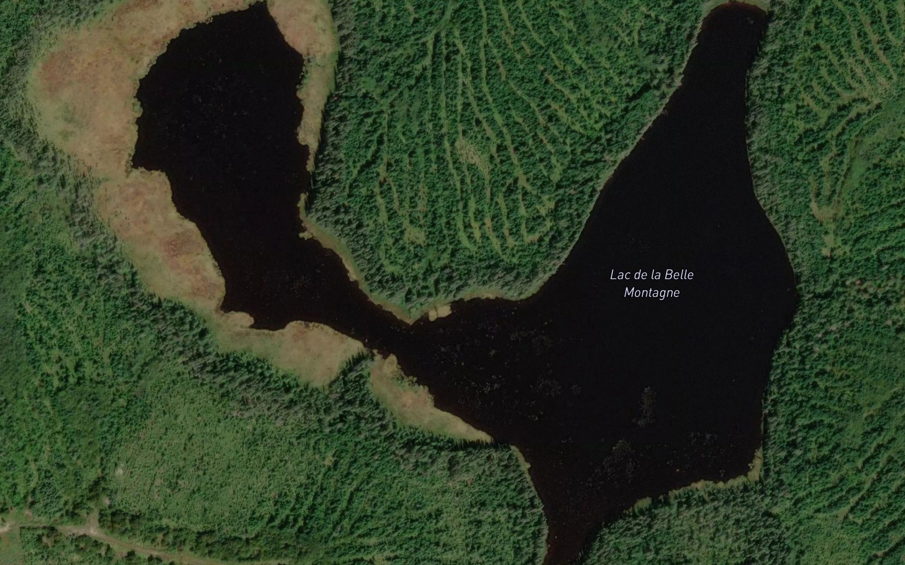 Satellite map of the Lac de la Belle Montagne