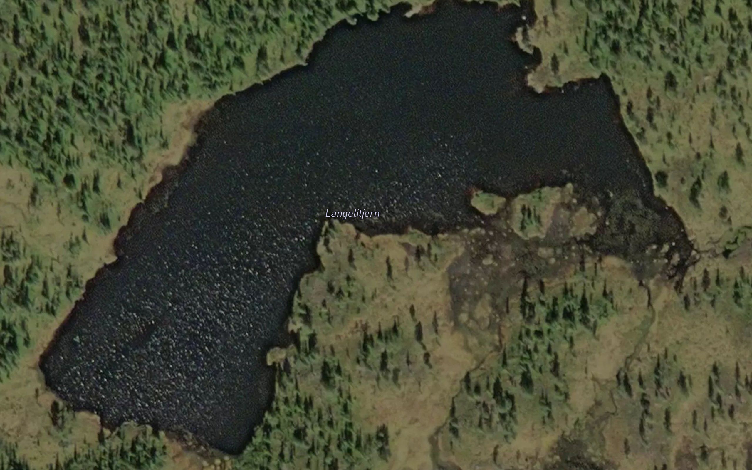 Langlitjern