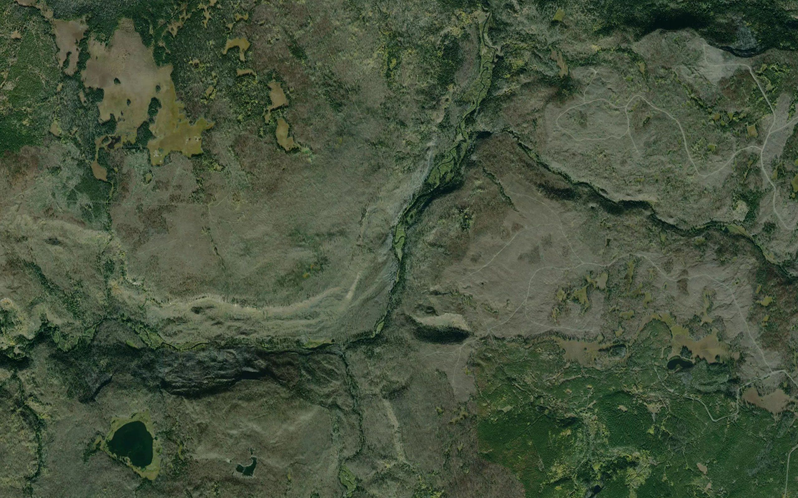 Tautri Creek