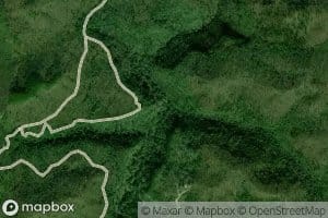 Cox Branch