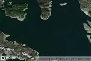 Tjeldosen