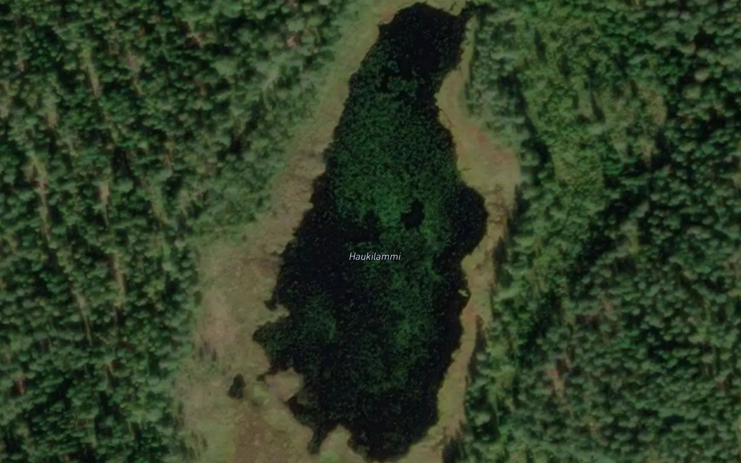 Haukilammi