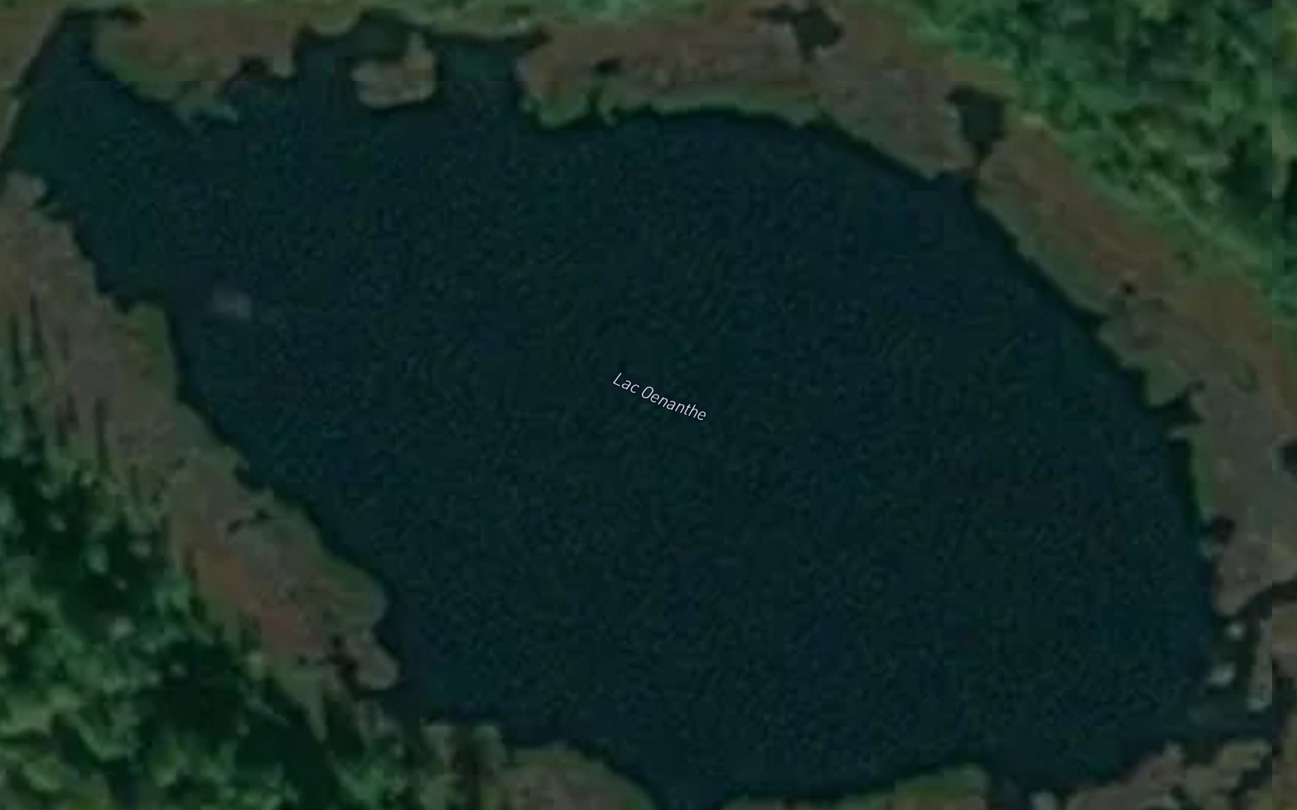 Lac Oenanthe