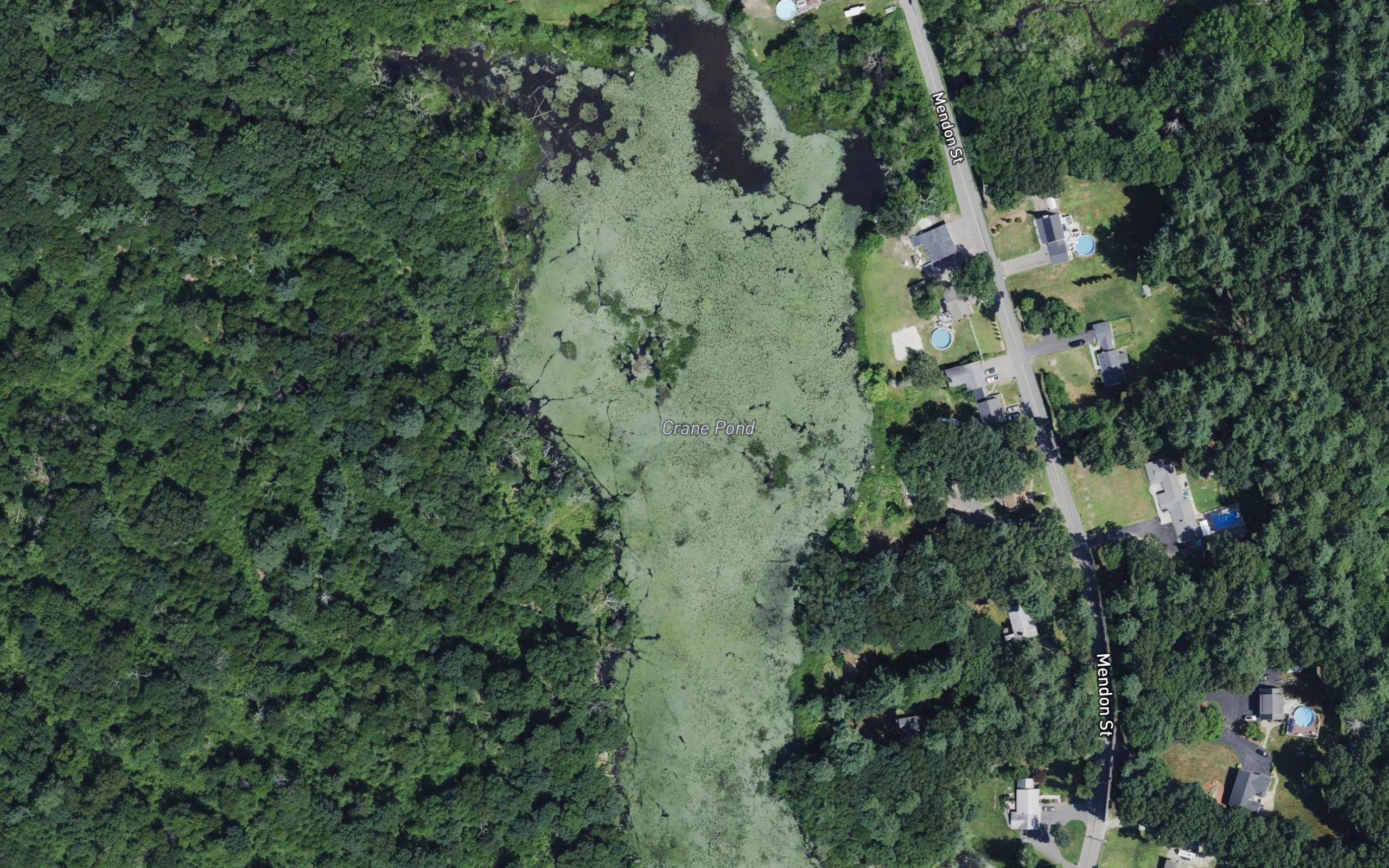Crane Pond