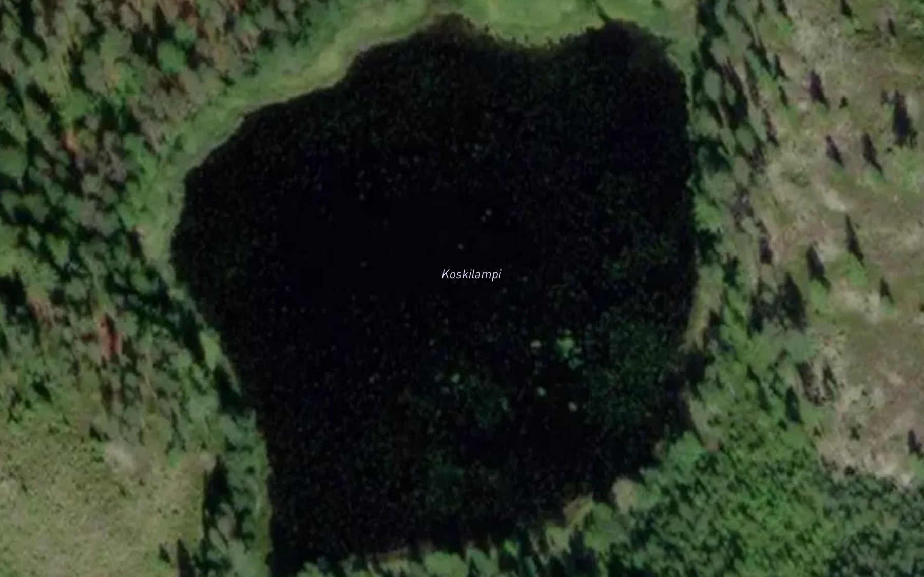Satellite map of the Koskilampi