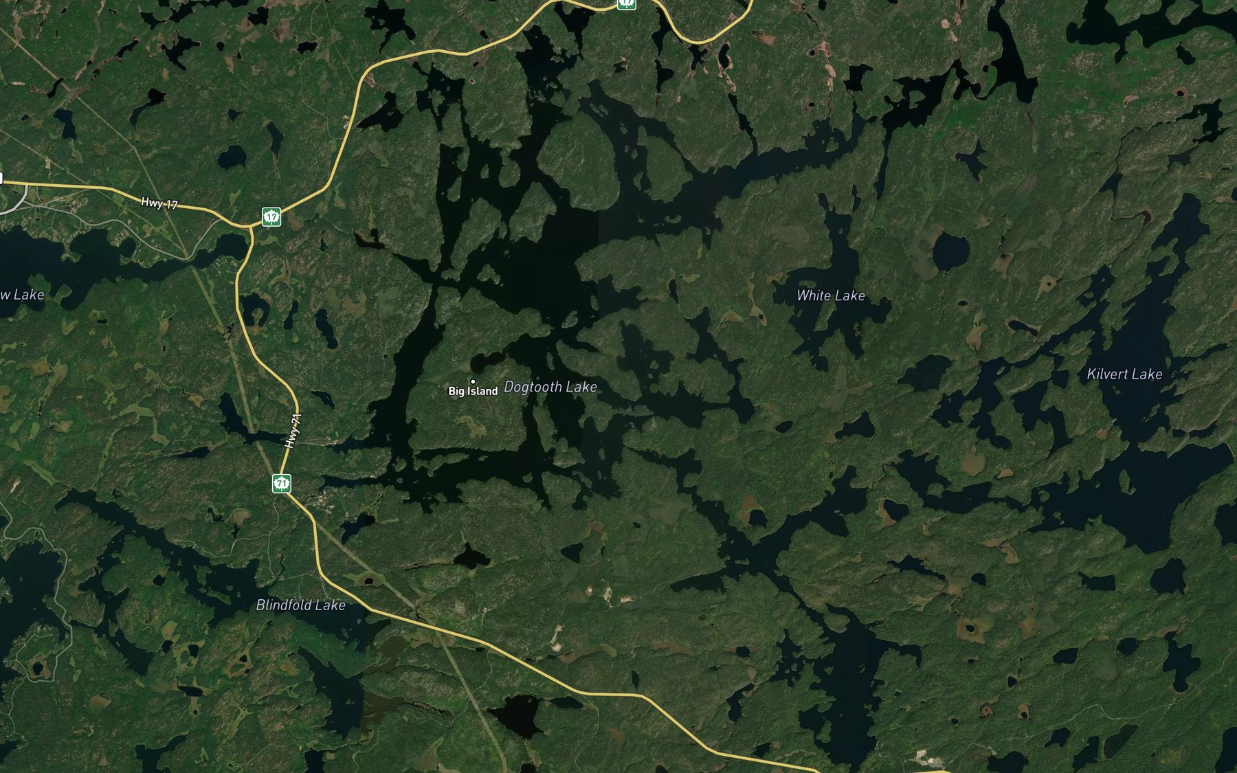 Satellite map of the Dogtooth Lake