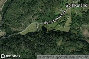 Spikketjonn