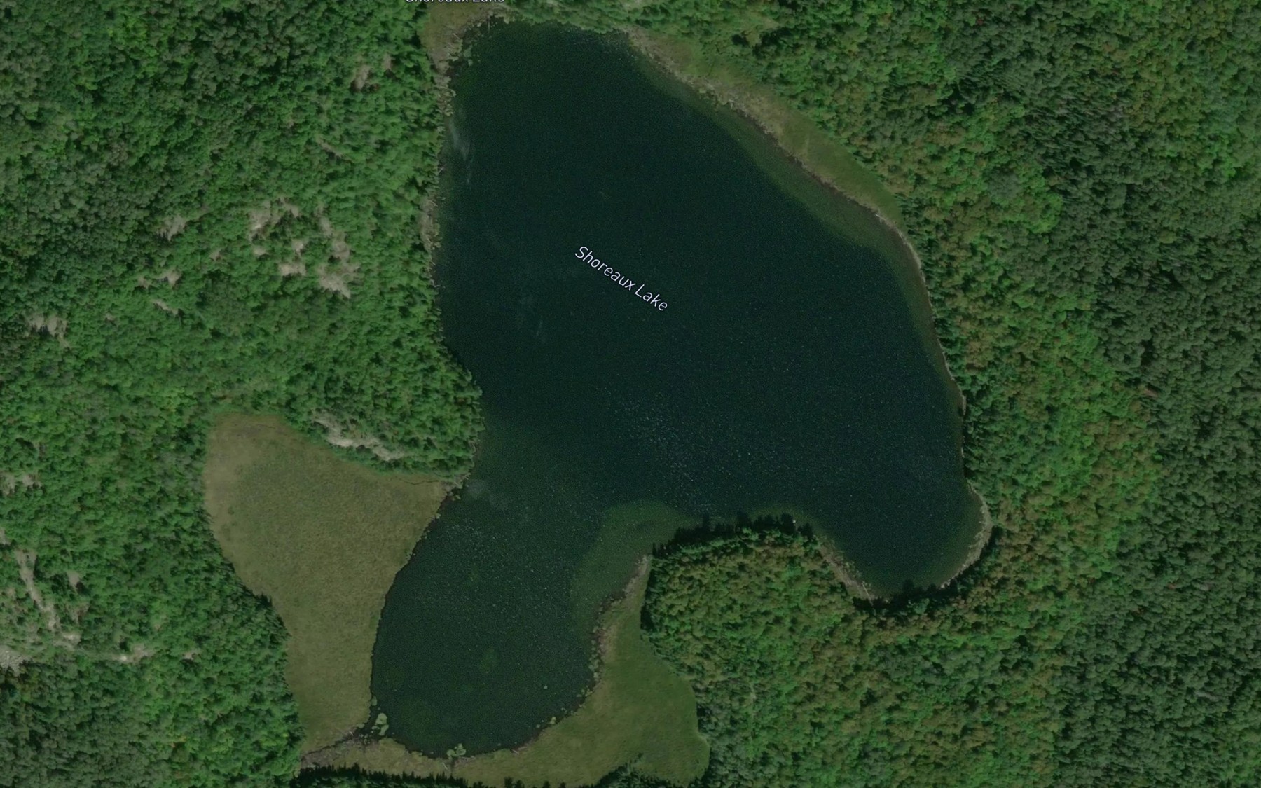 Satellite map of the Shoreaux Lake