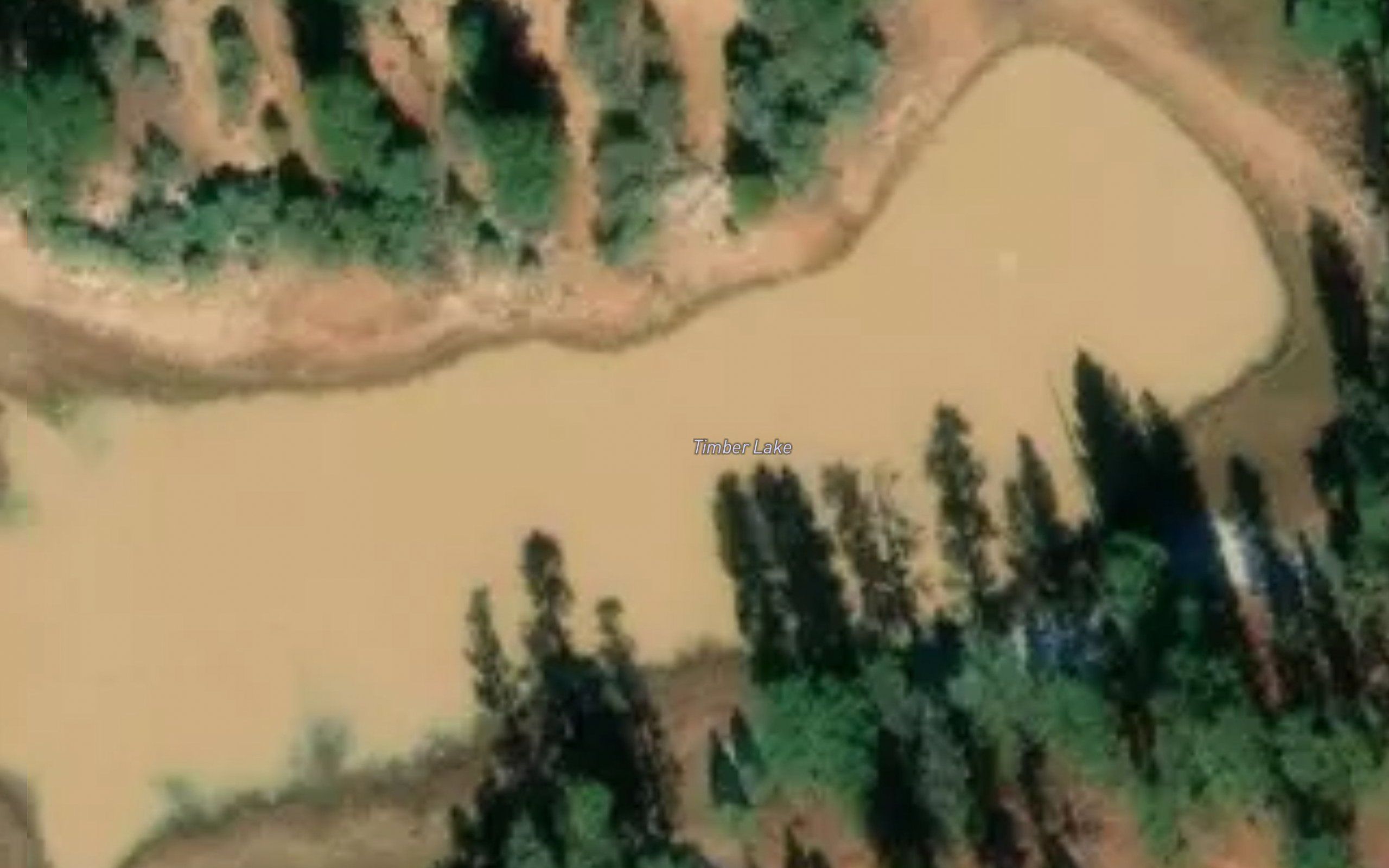 Timber Lake