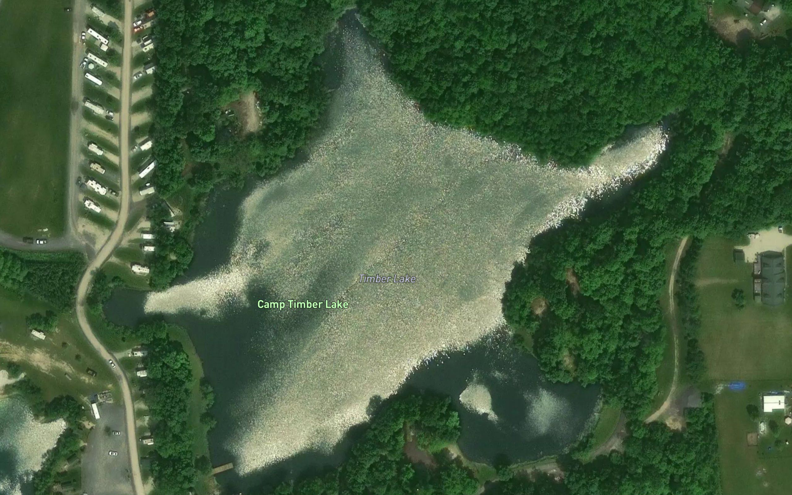 Timber Lake