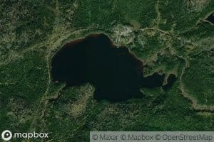 Lac Butcher