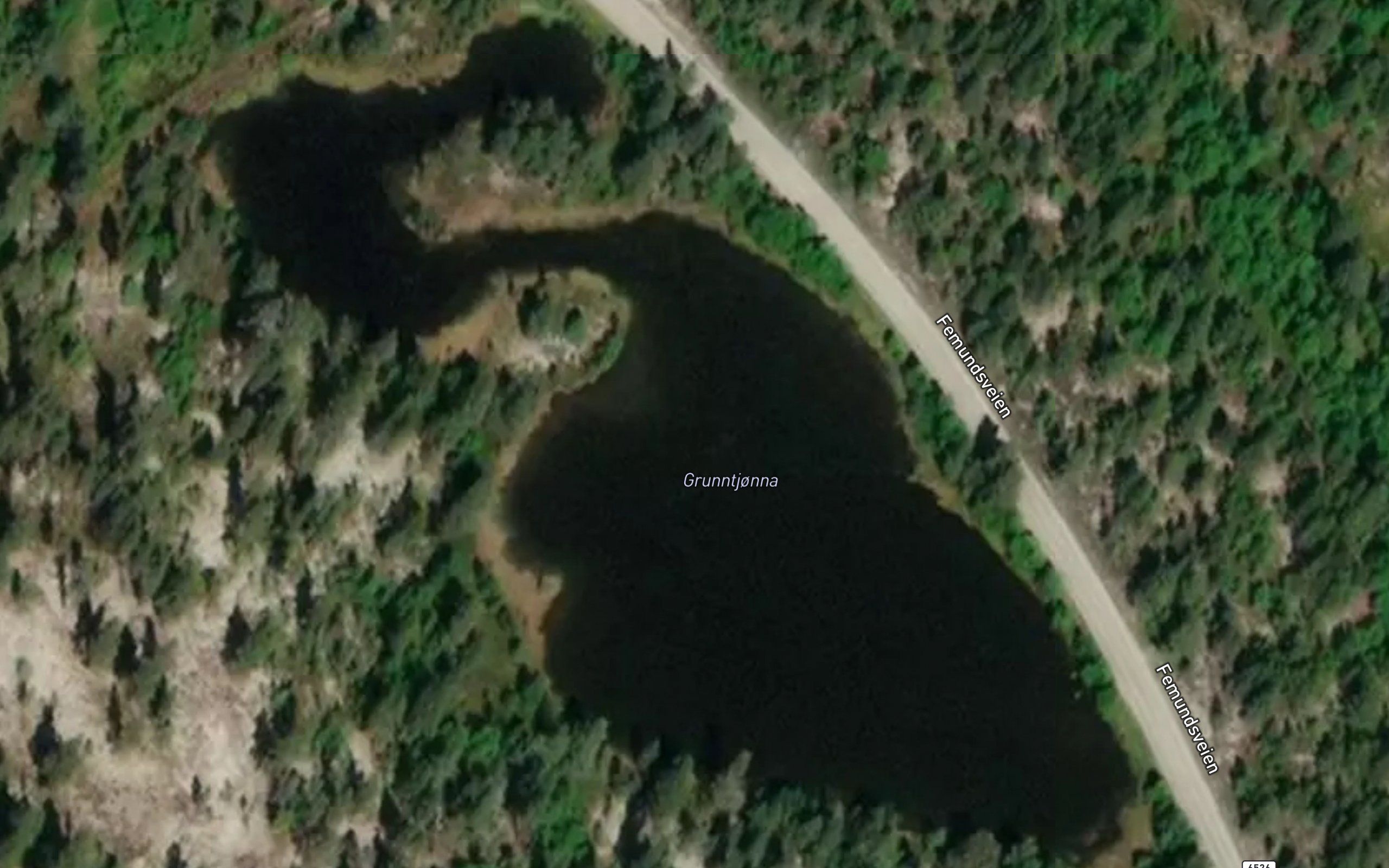 Grunntjorna