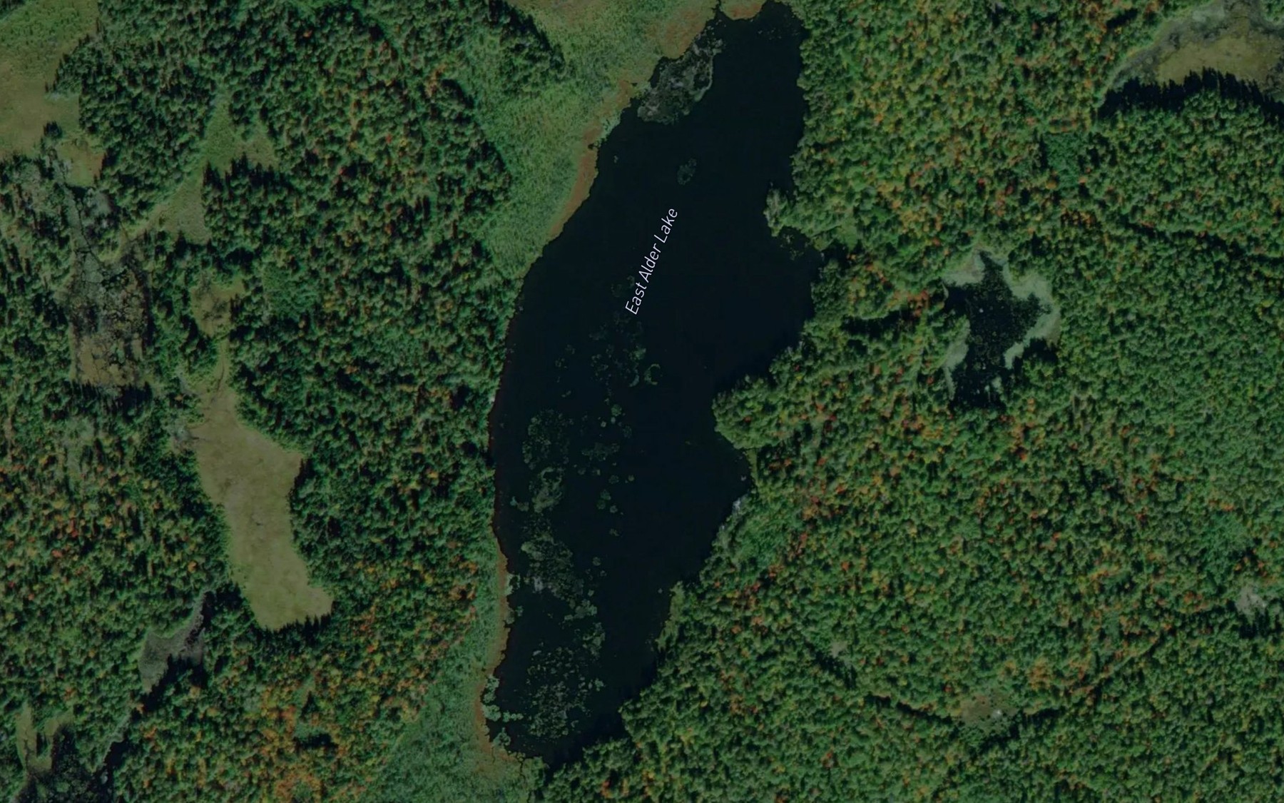 Satellite map of the East Alder Lake