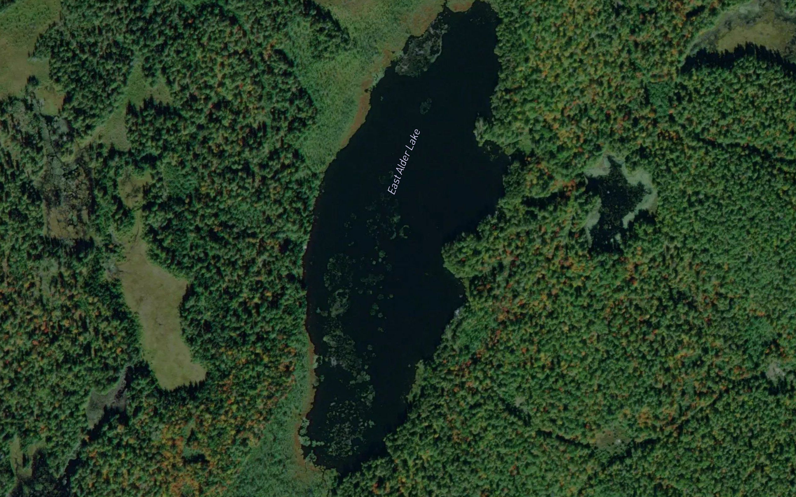 East Alder Lake