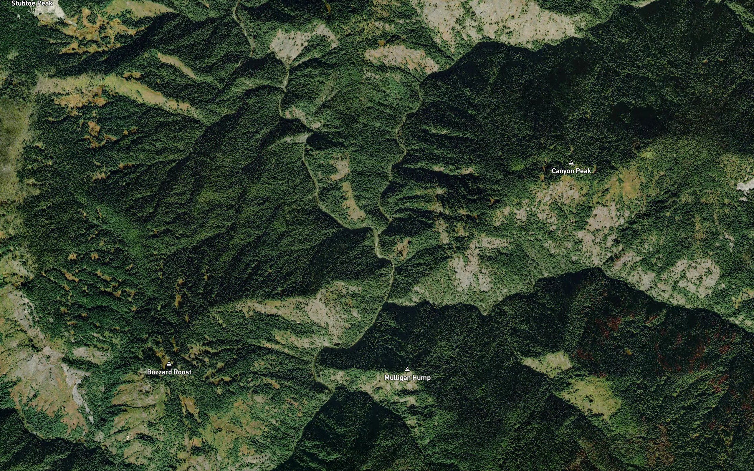 Canyon Creek