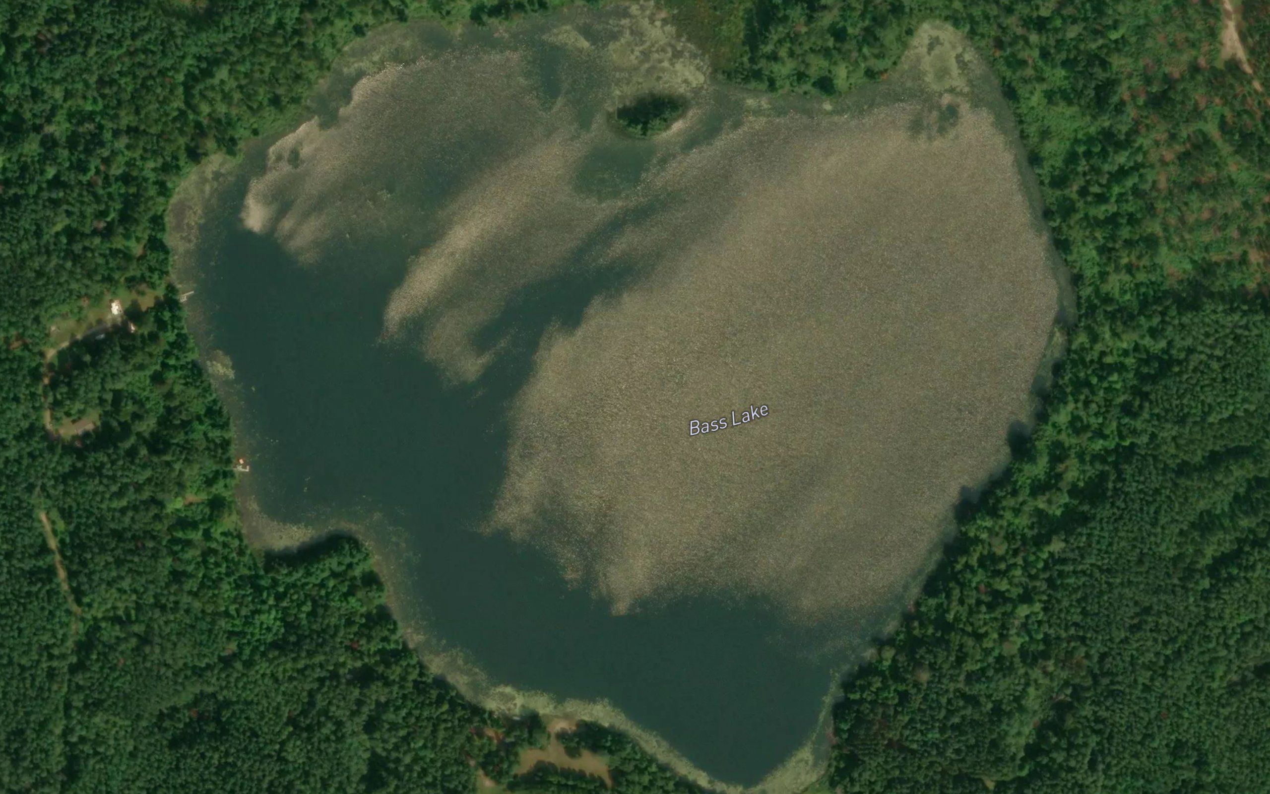 Bass Lake