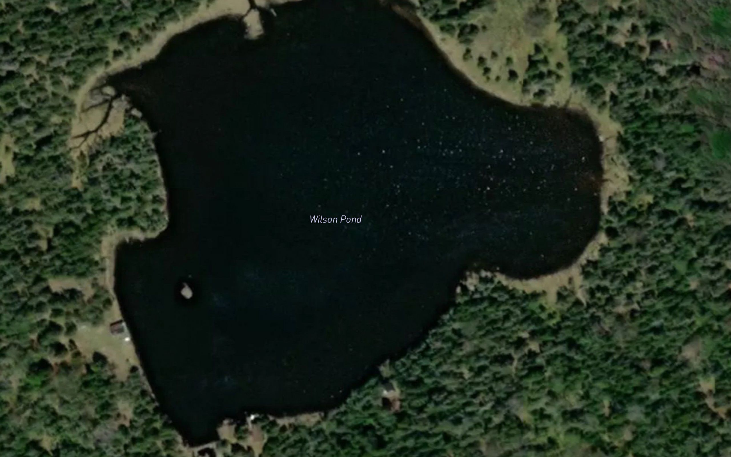Wilson Pond