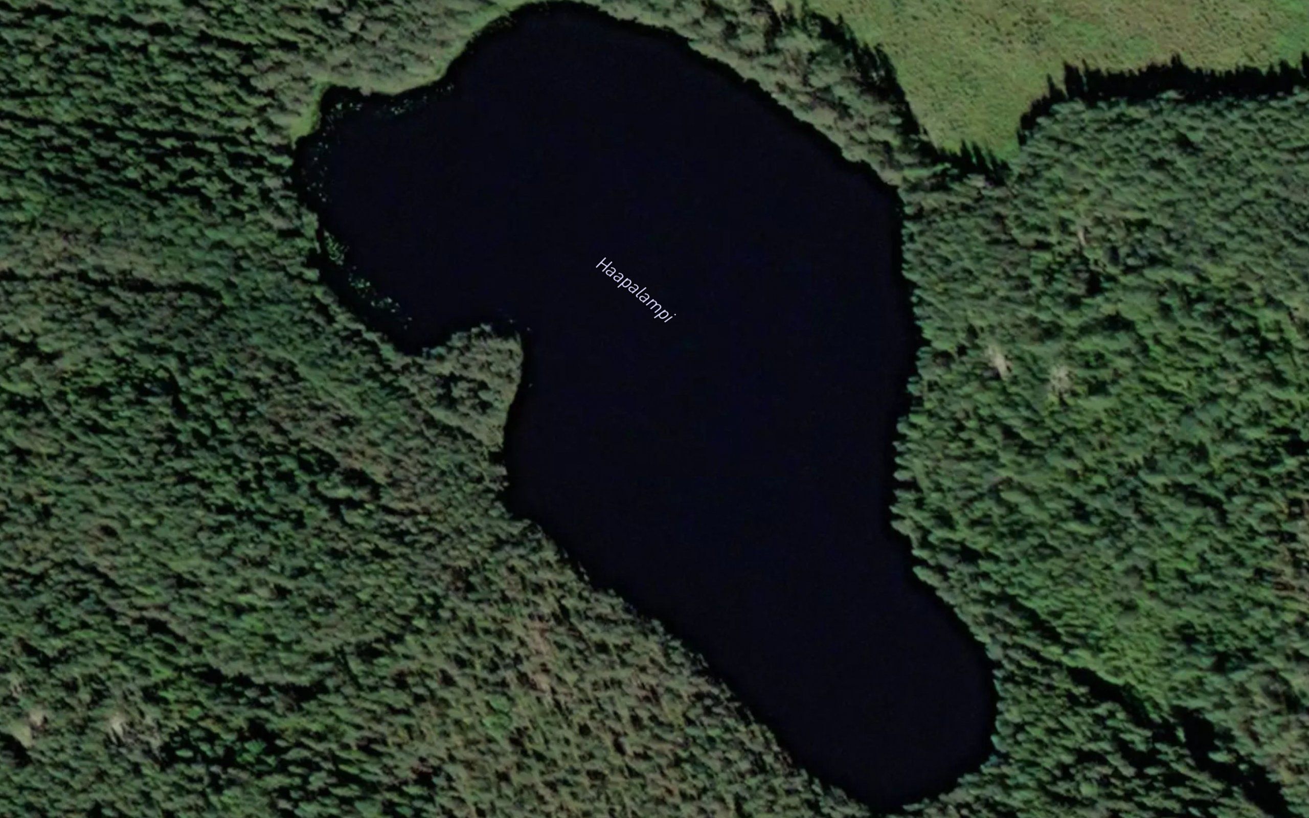 Haapalampi