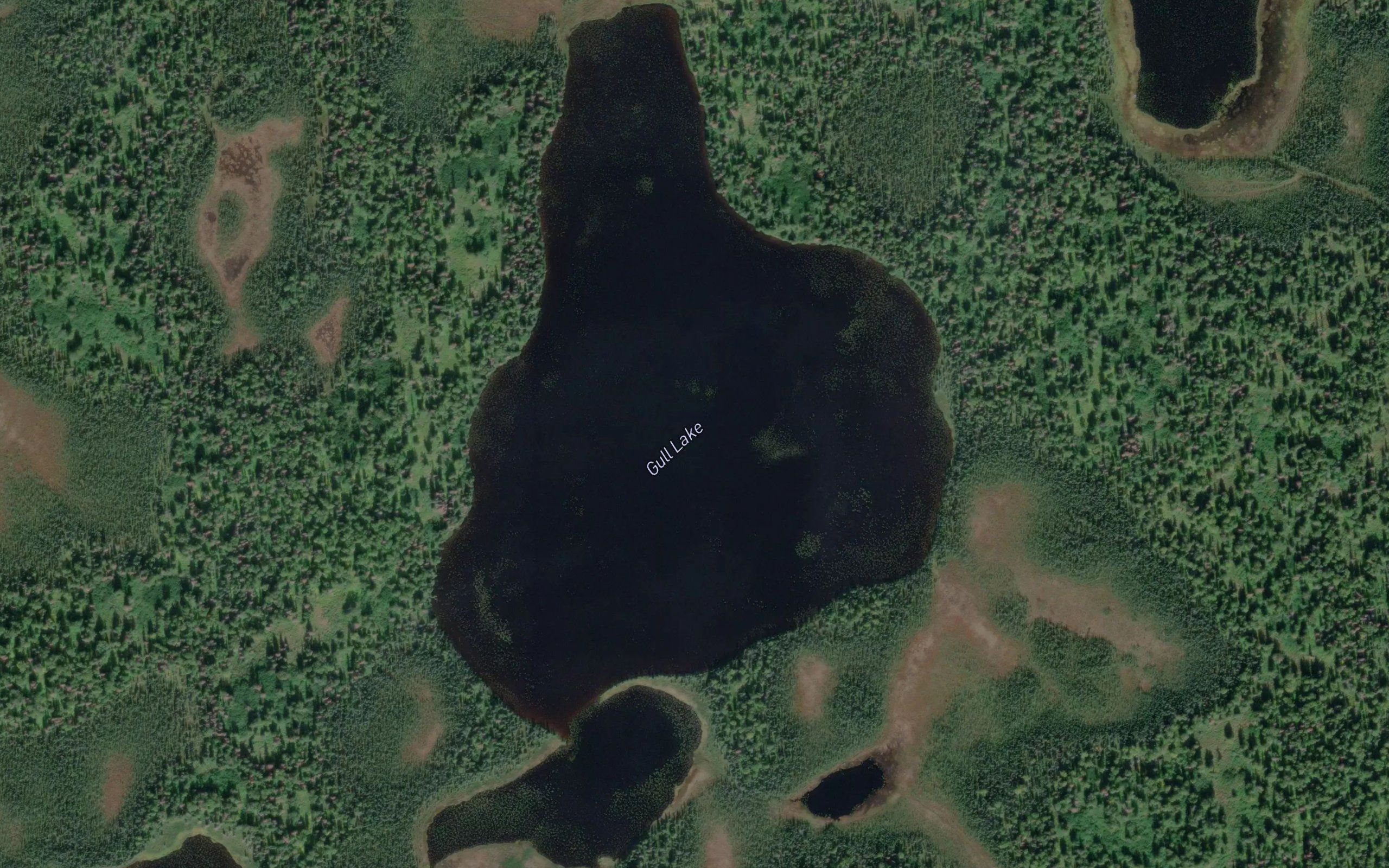 Gull Lake